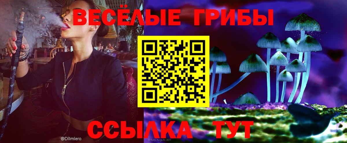наркошоп  Псилоцибиновые грибы мицелий  Вход с VPN  Саров  Галлюциногенные грибы MAGIC MUSHROOMS 